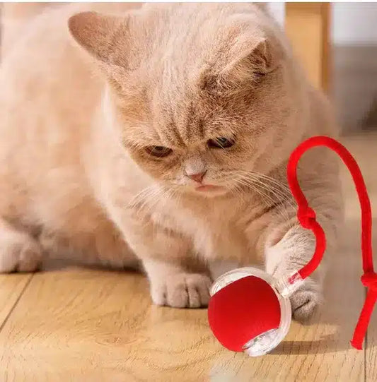 Interactive Cat Toys Ball Automatic Bouncing Ball